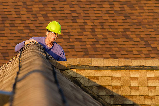 Best Storm Damage Roof Repair  in Redland, AL